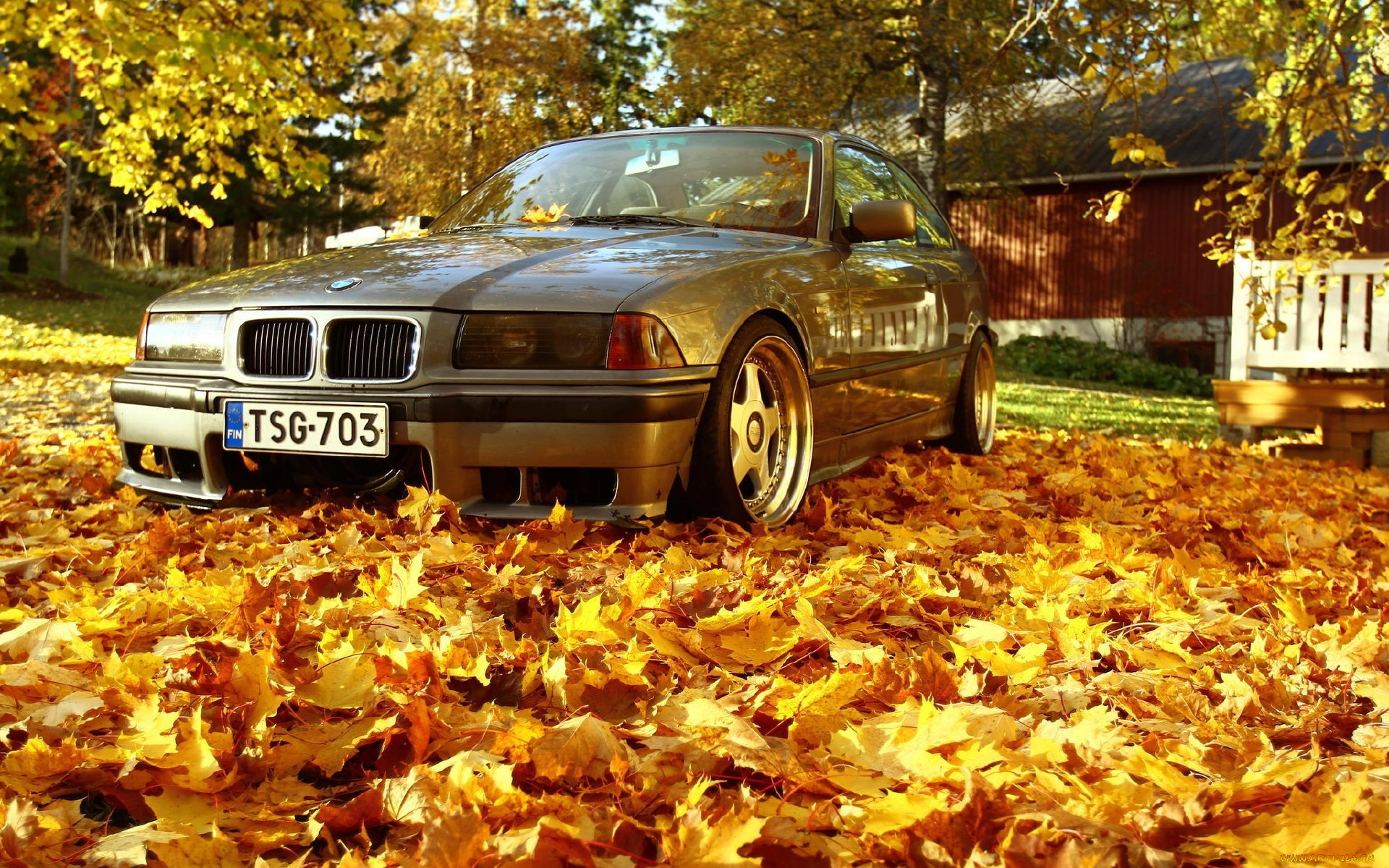 , bmw
